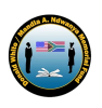 Donald White / Mandla A. Ndwanya Memorial Fund logo