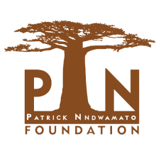 PN Foundation logo